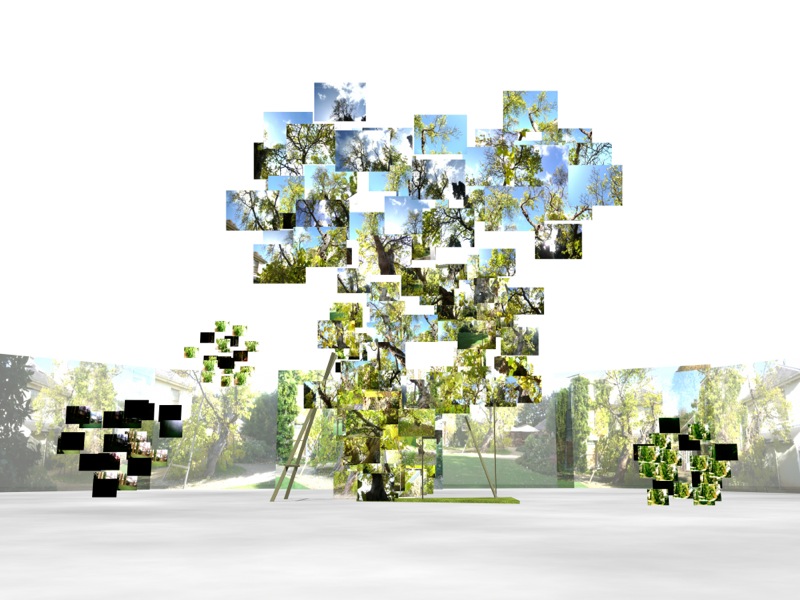 Chris Meigh-Andrews, In Darwin’s Garden (2011–12). 3D visualizations. 3D Model: Alan Summers. © Chris Meigh-Andrews, 2011–12. Used with permission.